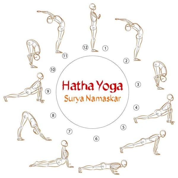 Hatha yoga là gì – nền tảng của các trường phái yoga