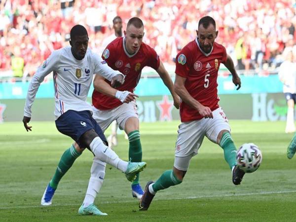 Trận đối đầu kịch tính giữa Pháp vs Hungary 
