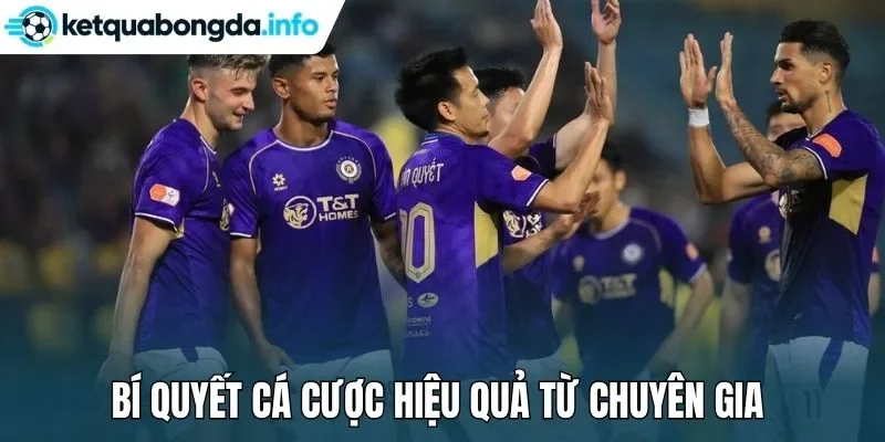 Bí quyết cá cược hiệu quả từ chuyên gia