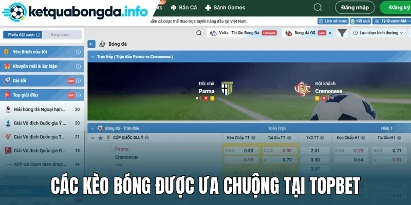 Các kèo bóng được ưa chuộng tại Topbet