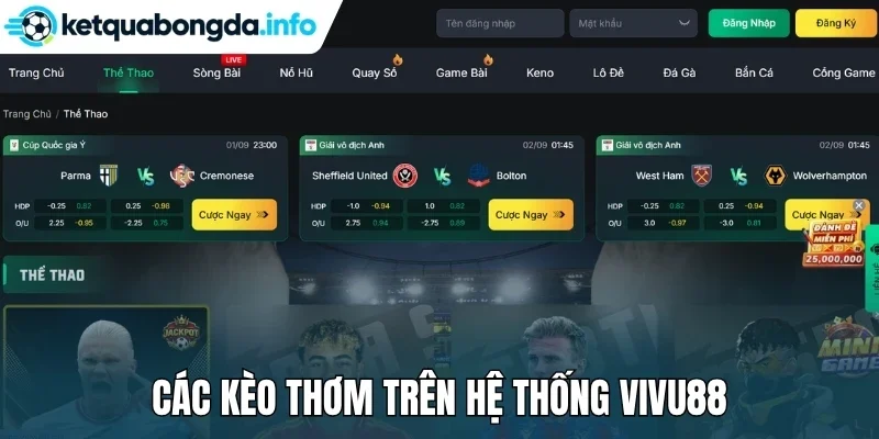 Các kèo thơm trên hệ thống Vivu88