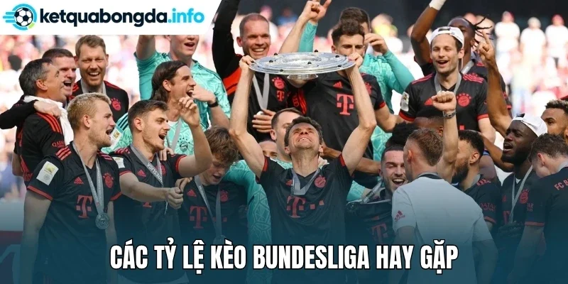 Các tỷ lệ kèo Bundesliga hay gặp