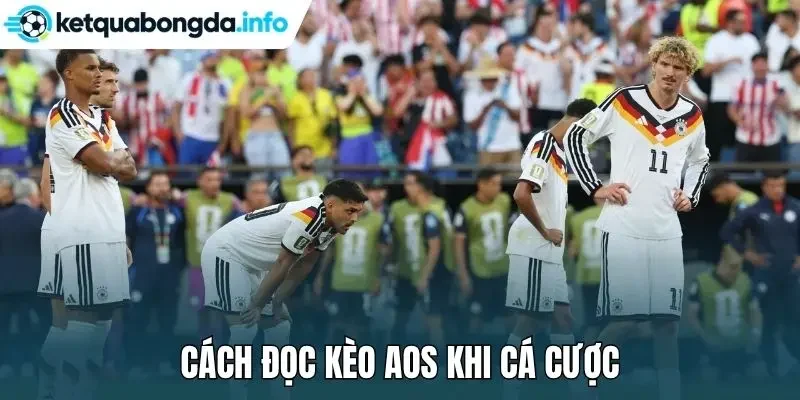 Cách đọc kèo AOS khi cá cược