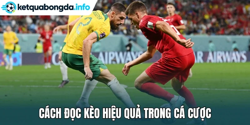 Cách đọc kèo hiệu quả trong cá cược