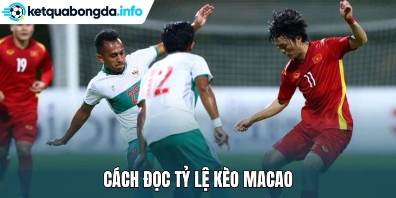 Cách đọc tỷ lệ kèo Macao