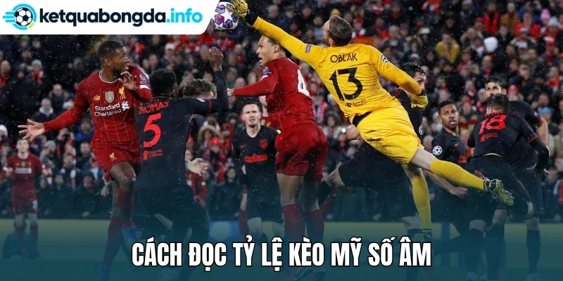 Cách đọc tỷ lệ kèo Mỹ số âm