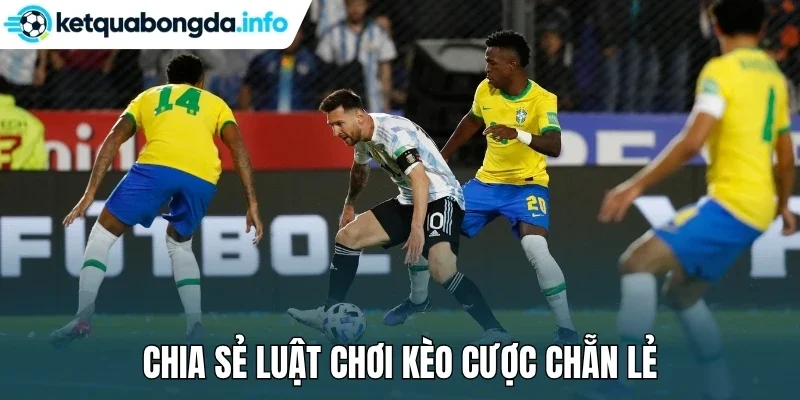 Chia sẻ luật chơi kèo cược chẵn lẻ