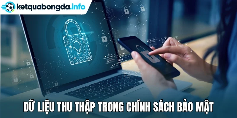 Dữ liệu thu thập trong chính sách bảo mật