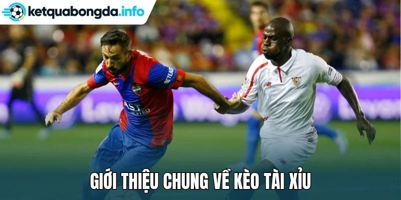 Giới thiệu chung về kèo tài xỉu