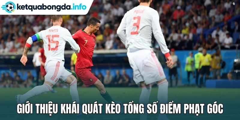 Giới thiệu khái quát kèo tổng số điểm phạt góc