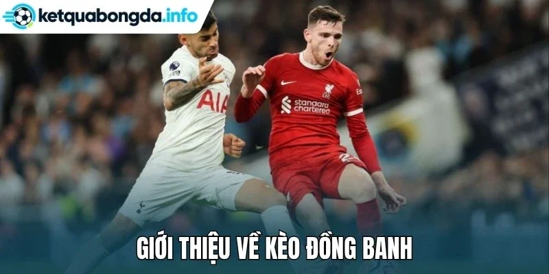Giới thiệu về kèo đồng banh