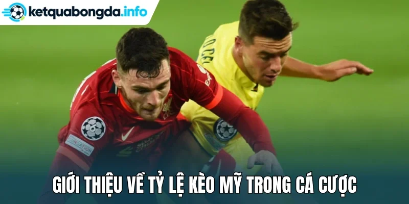 Giới thiệu về tỷ lệ kèo Mỹ trong cá cược