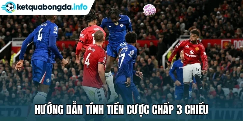 Hướng dẫn tính tiền cược chấp 3 chiều