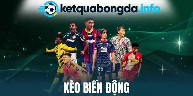 Tổng hợp các dạng odds biến động phổ biến