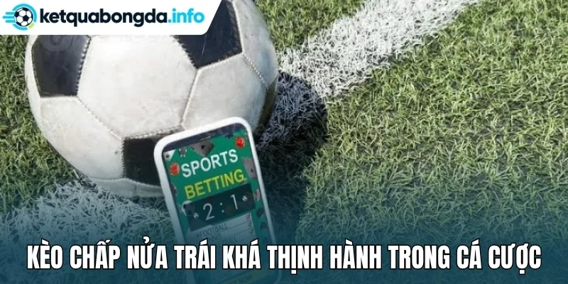 Kèo chấp nửa trái khá thịnh hành trong cá cược