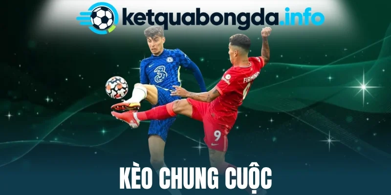 Đọc cược chung cuộc chuẩn hiện nay
