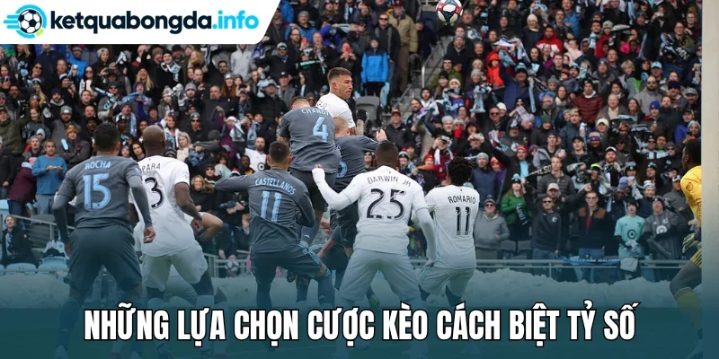 Những lựa chọn cược kèo cách biệt tỷ số