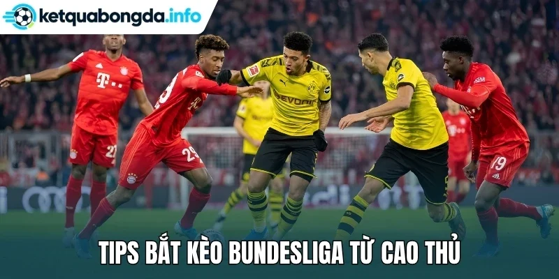 Tips bắt kèo Bundesliga từ cao thủ