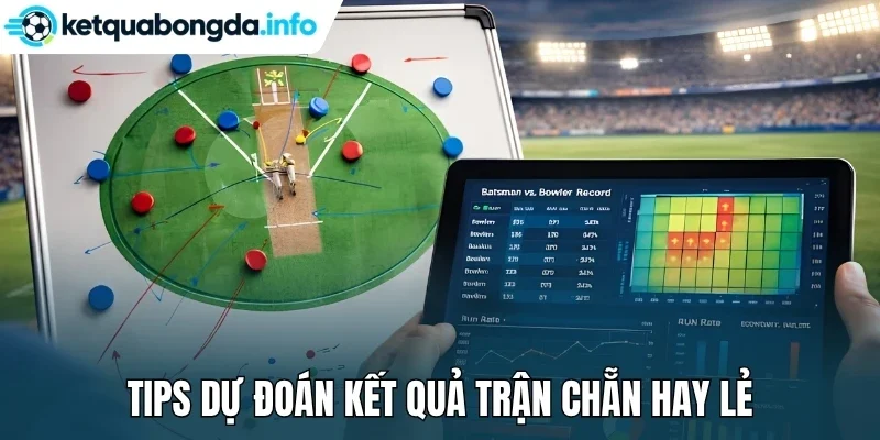 Tips dự đoán kết quả trận chẵn hay lẻ