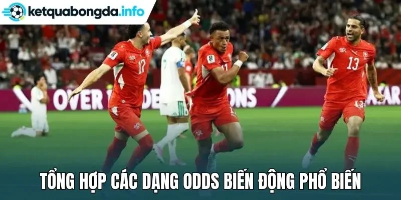 Tổng hợp các dạng odds biến động phổ biến