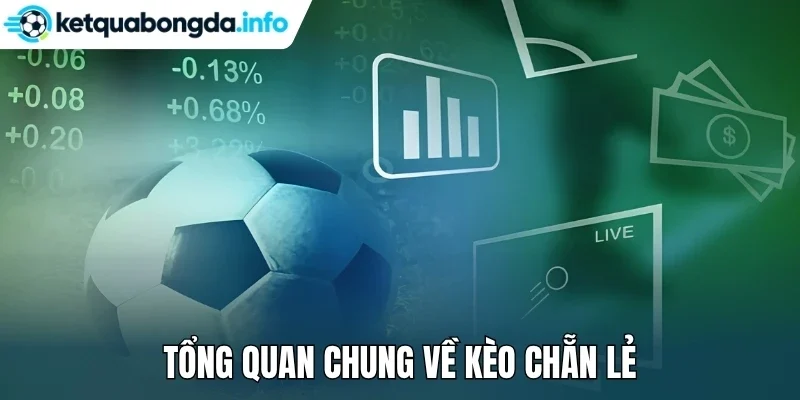 Tổng quan chung về kèo chẵn lẻ