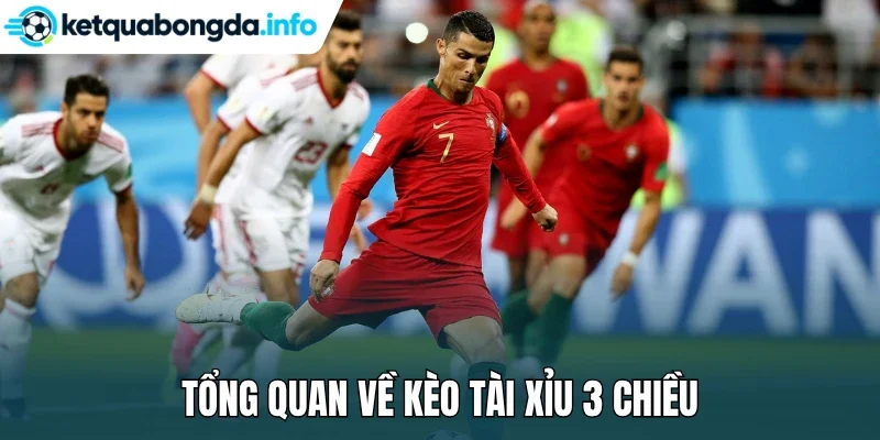 Tổng quan về kèo Tài Xỉu 3 chiều