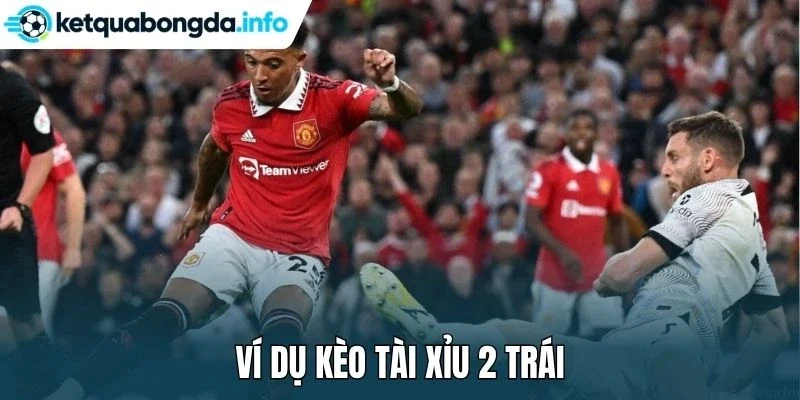 Ví dụ kèo tài xỉu 2 trái